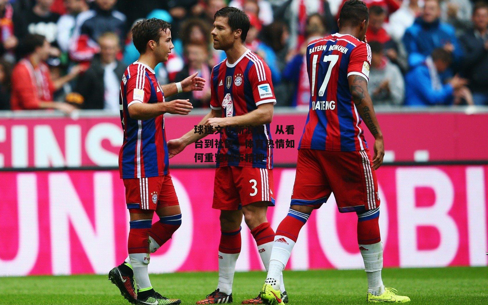 球迷文化新浪潮，从看台到社区，体育热情如何重塑城市精神